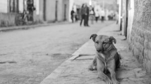 WhatsApp Image 2024-05-17 at 00.01.03 (1)