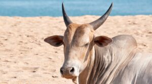 WhatsApp Image 2024-05-17 at 00.01.03 (2)