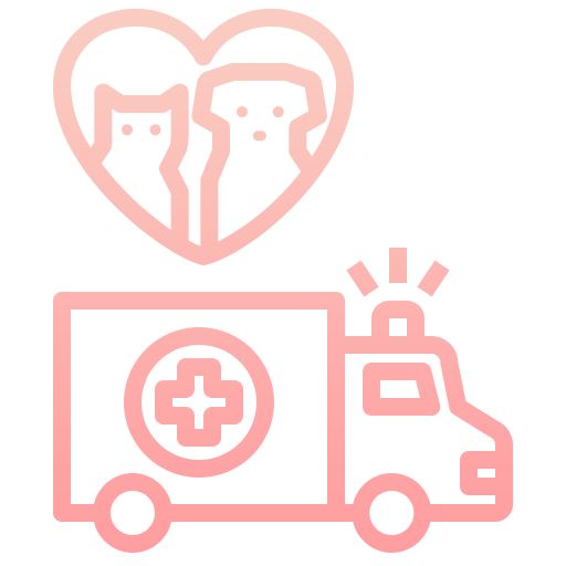 To Facilitate Key Infrastructure Including Animal Hospital, Animal Shelter And Animal Ambulances